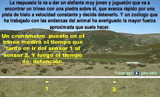 Descripci&oacute;n: Descripci&oacute;n: Descripci&oacute;n: amarillo
